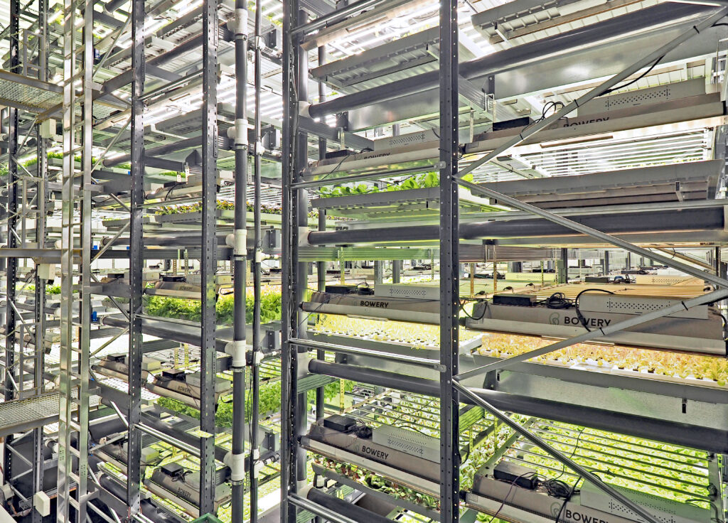 Killarney Metals Vertical Farming